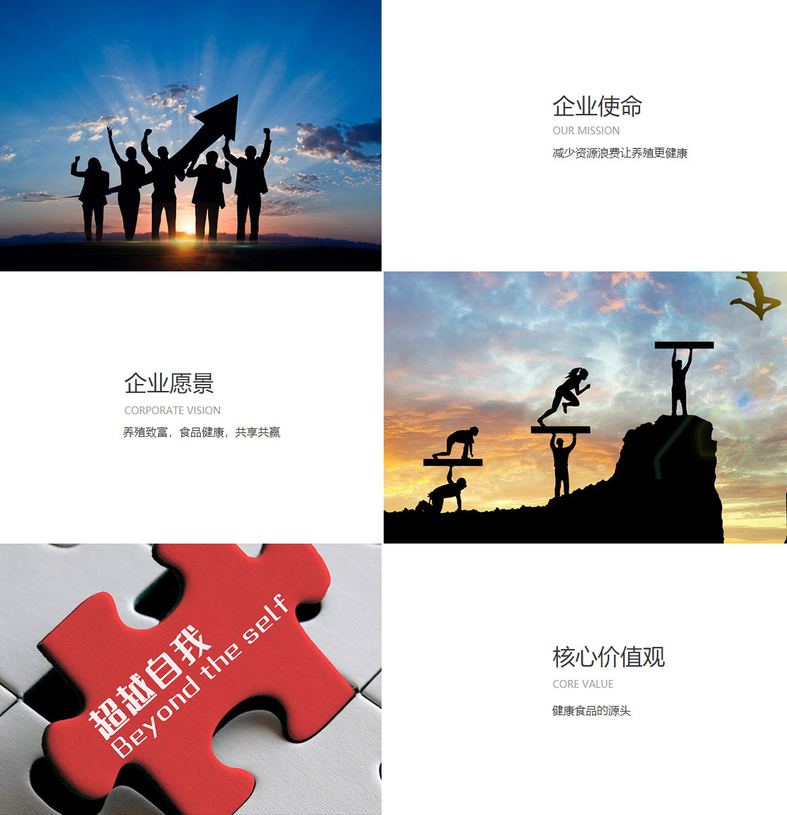 EMC易倍官方平台(图1)